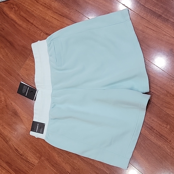 NWT size XL Jordan sweatshorts - Picture 3 of 8
